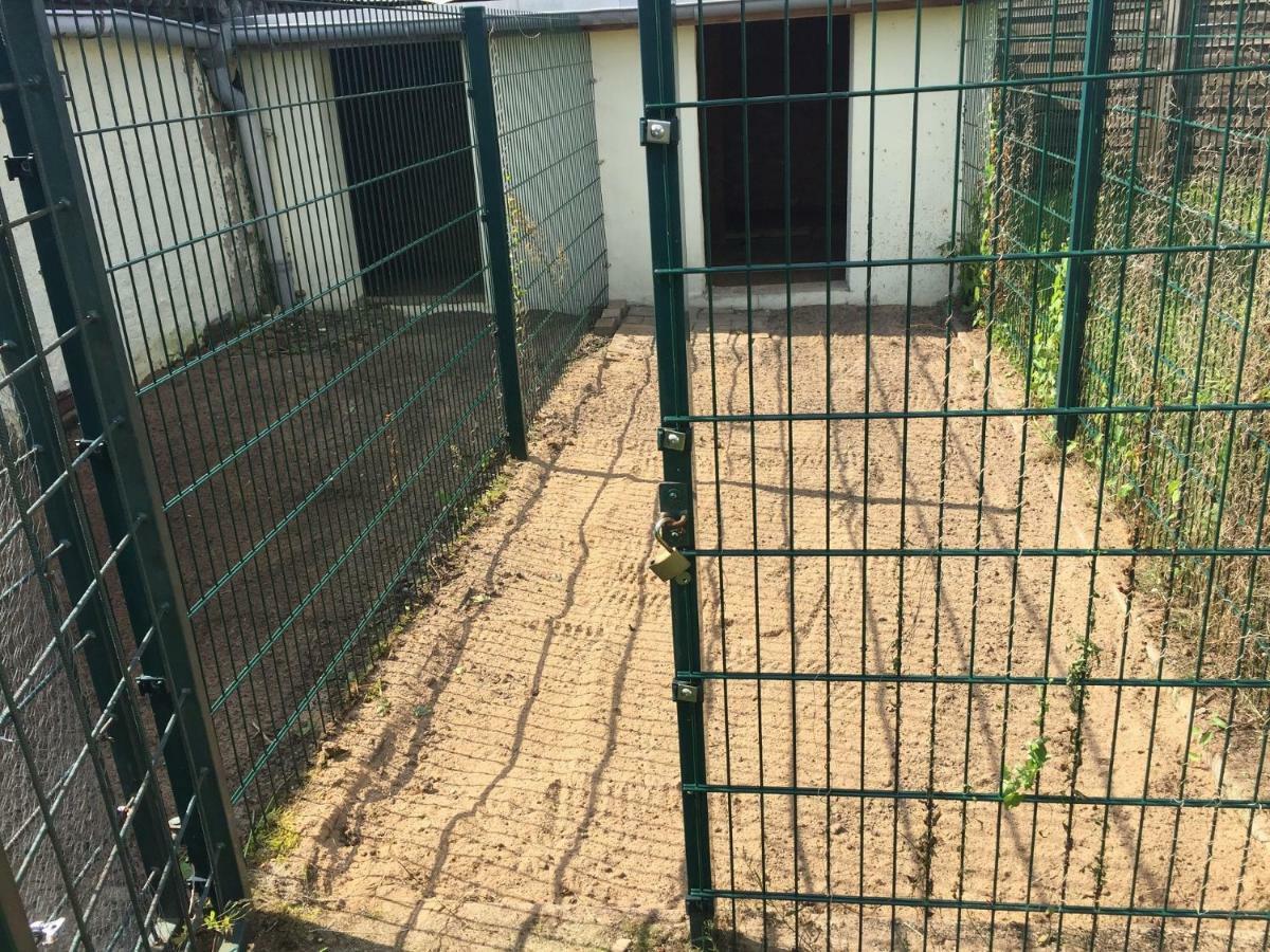 Ferienwohnung Neustrelitz Zewnętrze zdjęcie